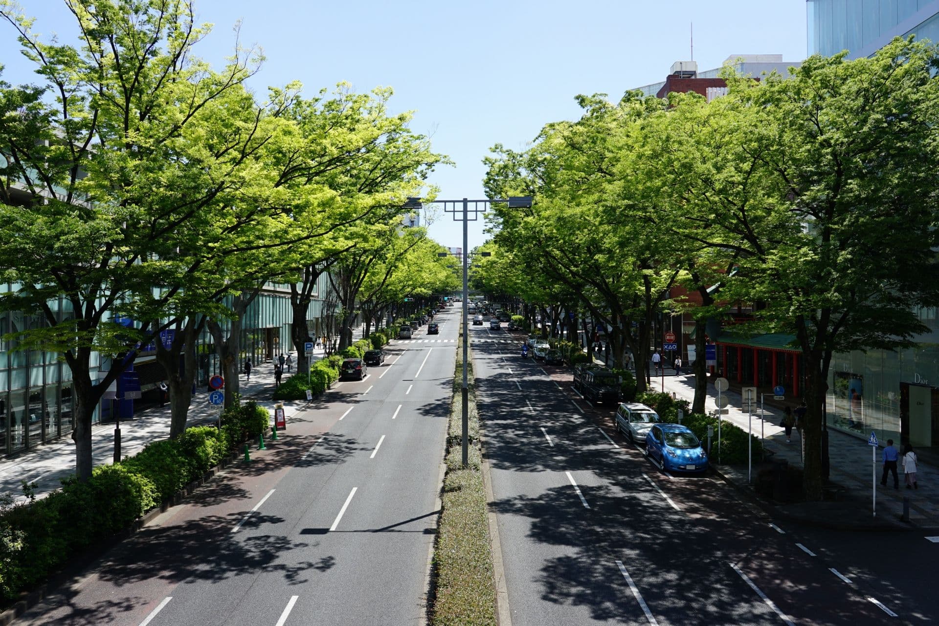 omotesando
